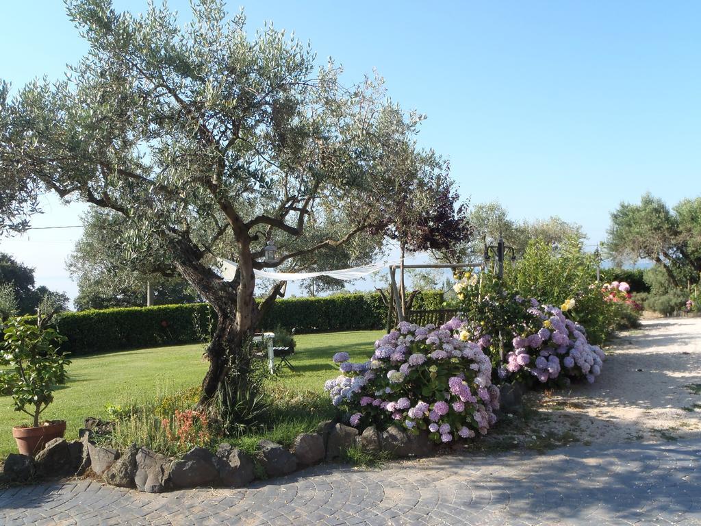 Apartmán Il Poggio Degli Ulivi Trevignano Romano Pokoj fotografie