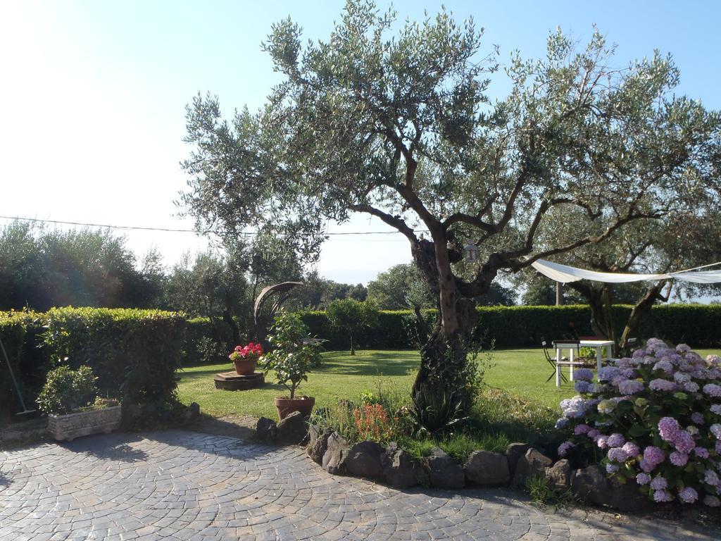 Apartmán Il Poggio Degli Ulivi Trevignano Romano Pokoj fotografie