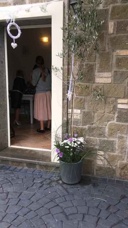 Apartmán Il Poggio Degli Ulivi Trevignano Romano Exteriér fotografie