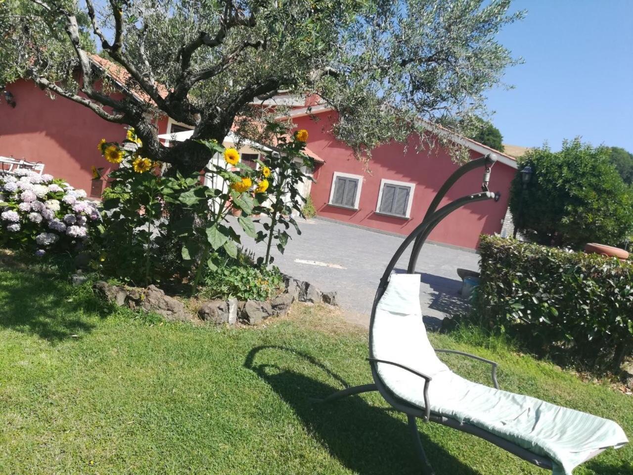 Apartmán Il Poggio Degli Ulivi Trevignano Romano Exteriér fotografie