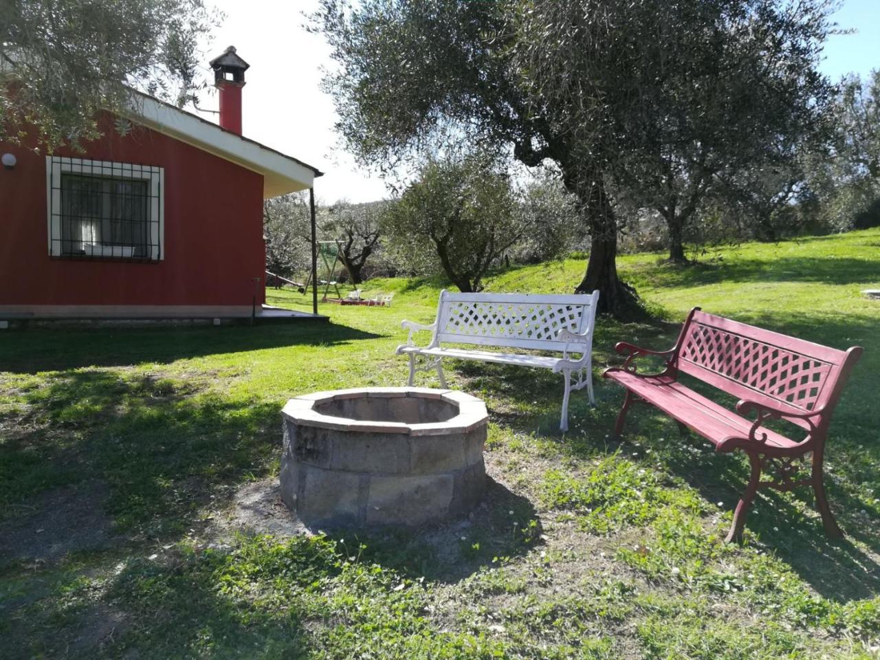 Apartmán Il Poggio Degli Ulivi Trevignano Romano Exteriér fotografie