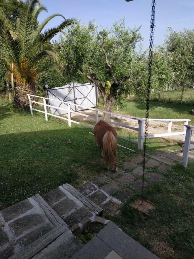 Apartmán Il Poggio Degli Ulivi Trevignano Romano Exteriér fotografie
